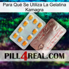 Para Qué Se Utiliza La Gelatina Kamagra new13